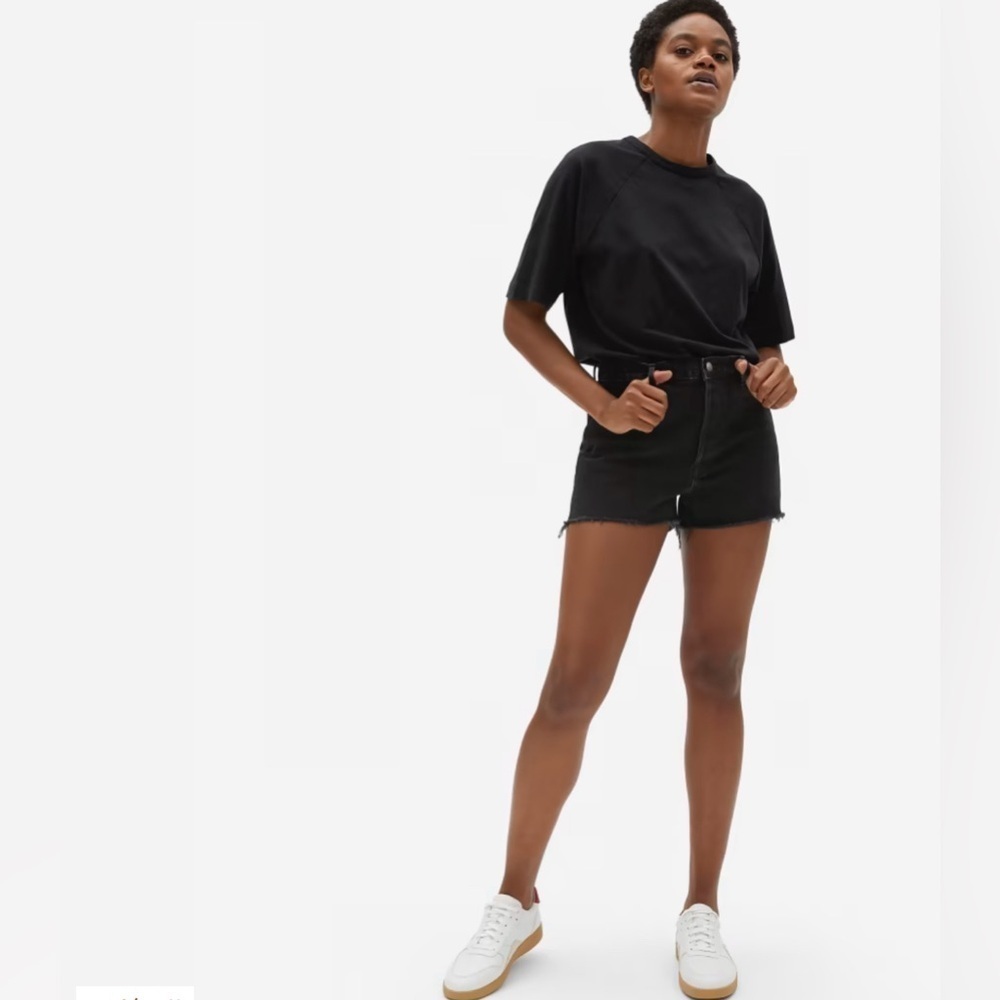 Everlane The Cheeky Denim Shorts size 28